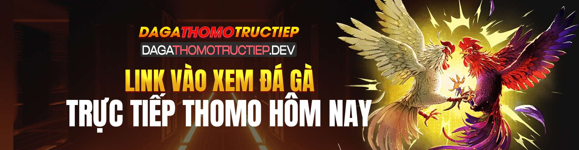 dagathomotructiep-banner1