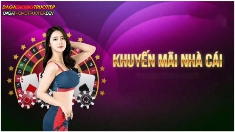 Khuyến mãi Đá gà thomo trực tiếp